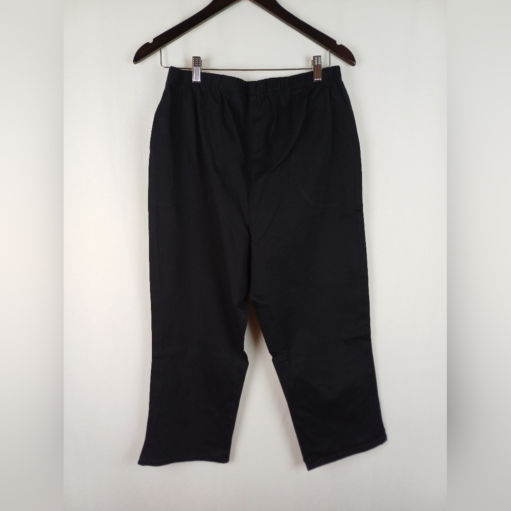 Nwot Quacker Factory Regular Dragonfly Cropped Le… - image 5